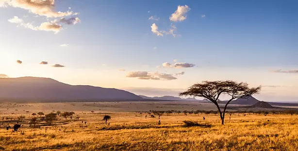 ویزای کنیا ویزای کنیا