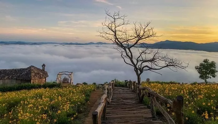 دالات ویتنام 